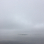 Shaun Elstob's Avatar