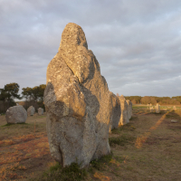 smiling stone's Avatar